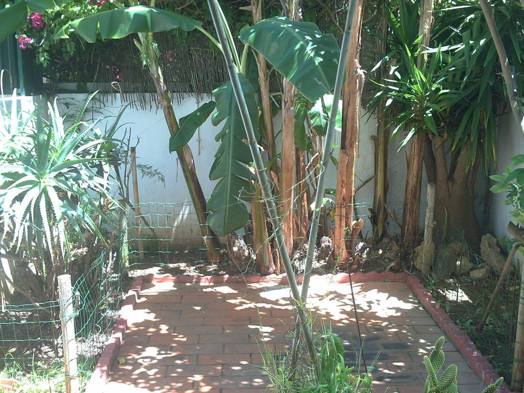 Formosa Olhao